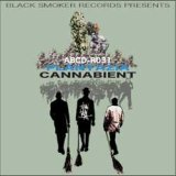 画像: PLANTAZIA a.k.a.KILLER BONG / CANNABIENT