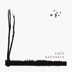 画像: 新入荷！[ BACTERIA  "LOST" ( 5th ALBUM) ]  ＆ 好評再入荷！[ RED RAN AMBER / RAAHULA ]